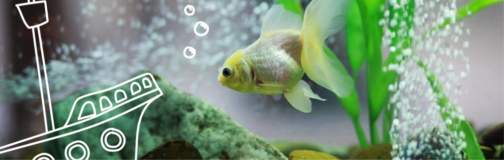 Acuario: Preparación para un nuevo año de oportunidades 5 acuario preparacion para un nuevo ano de oportunidades