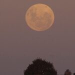 Aprovecha la energía lunar para transformar tu vida positiva