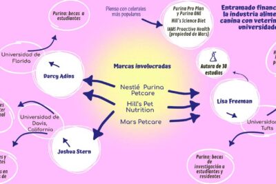 gestion efectiva y saludable del estres para los tauro