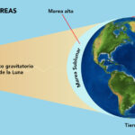 Impacto de la luna en planetas y ecosistemas gravitacionales