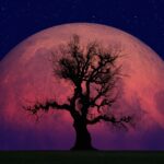 La fascinante historia de la astrología y el Nodo Norte