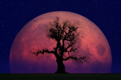la fascinante historia de la astrologia y el nodo norte