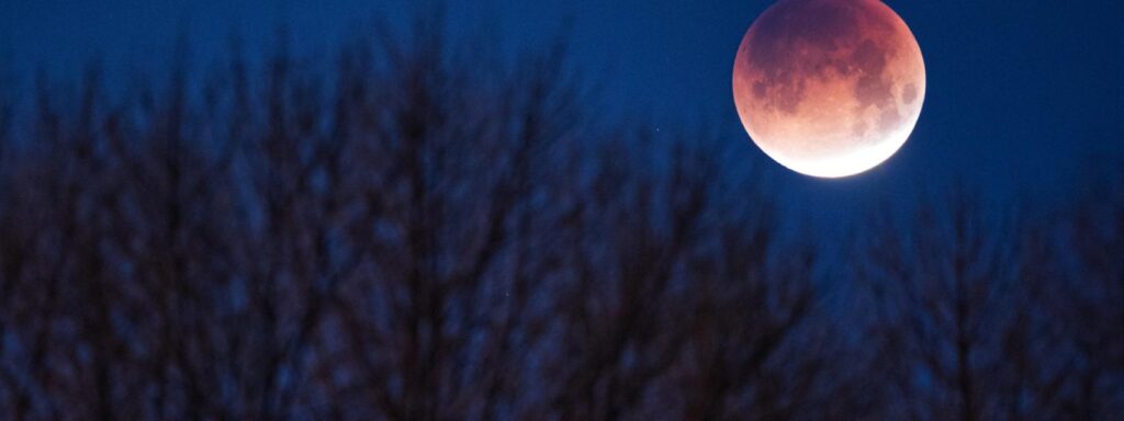 la influencia de la luna en los ciclos femeninos