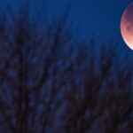 La influencia de la luna en los ciclos femeninos