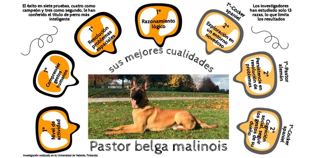 preparacion efectiva de tauro para lograr el exito en examenes