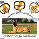 Preparación efectiva de Tauro para lograr el éxito en exámenes