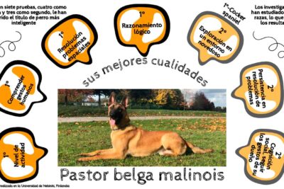 preparacion efectiva de tauro para lograr el exito en examenes