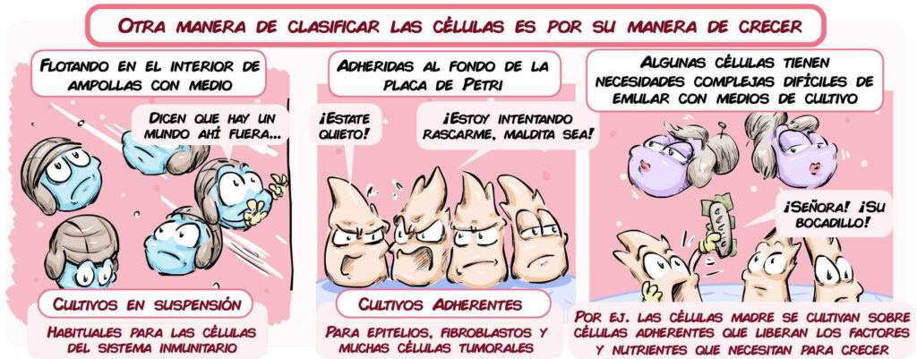 Qué pasos seguir para desatar el potencial de un Libra 4 que pasos seguir para desatar el potencial de un libra