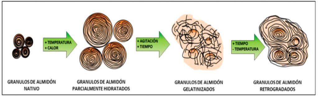 Retrogradaciones y su influencia en la salud física 3 retrogradaciones y su influencia en la salud fisica