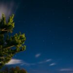 Rituales efectivos para aprovechar la energía de la luna nueva