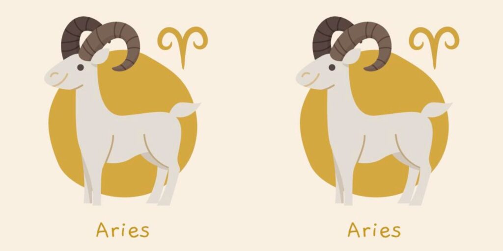 significado de compartir el mismo signo zodiacal en pareja