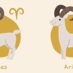 Significado de compartir el mismo signo zodiacal en pareja