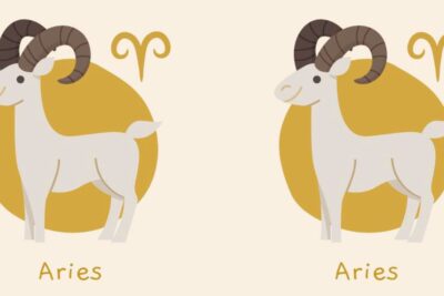 significado de compartir el mismo signo zodiacal en pareja