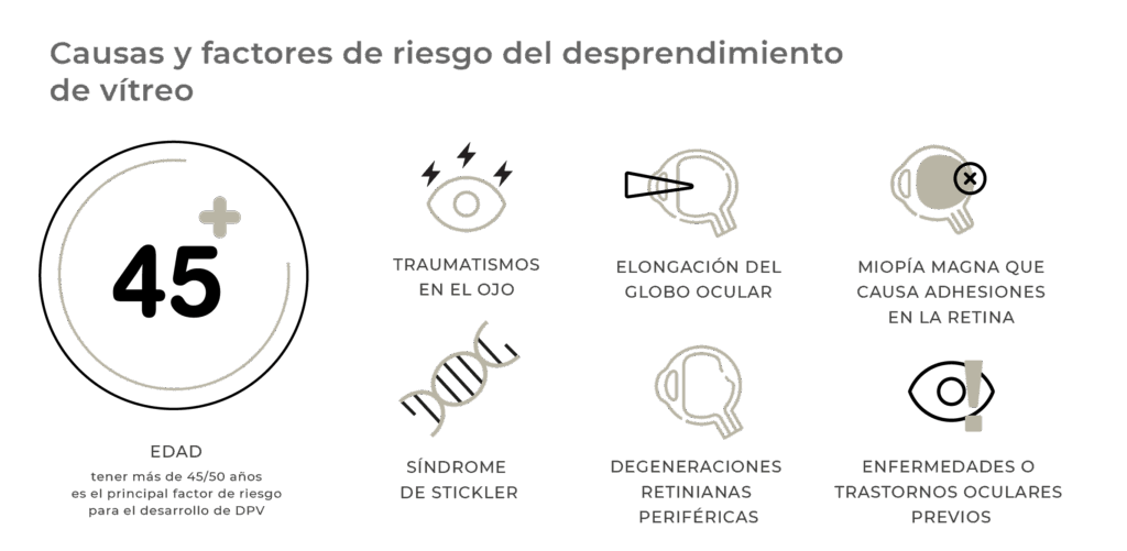un dia tipico para un leo rutinas y momentos de brillo