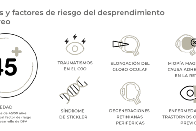 un dia tipico para un leo rutinas y momentos de brillo