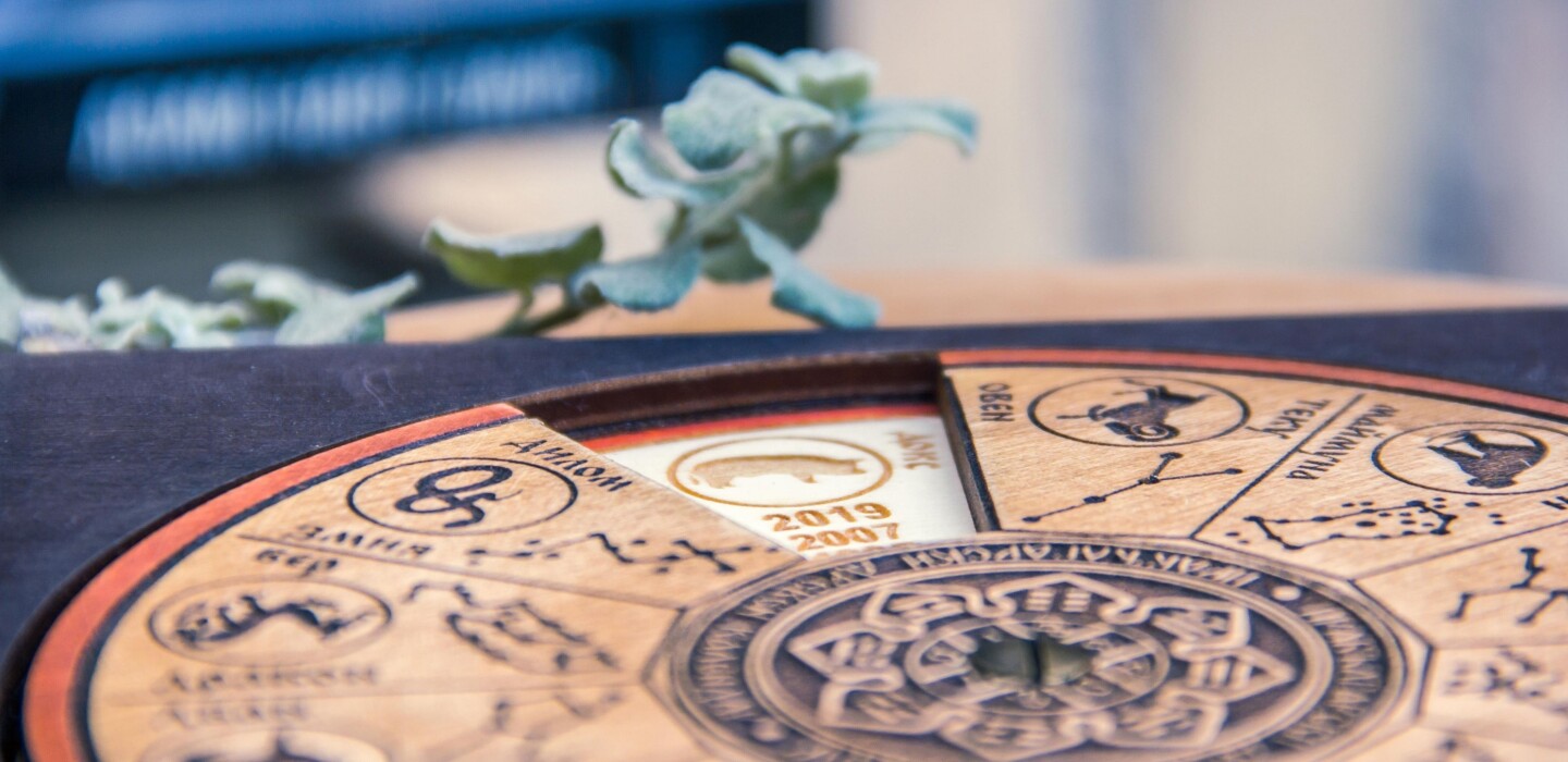 uso de las casas en astrologia para hacer predicciones